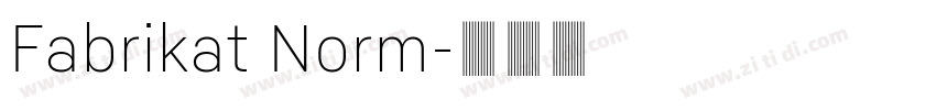 Fabrikat Norm字体转换
